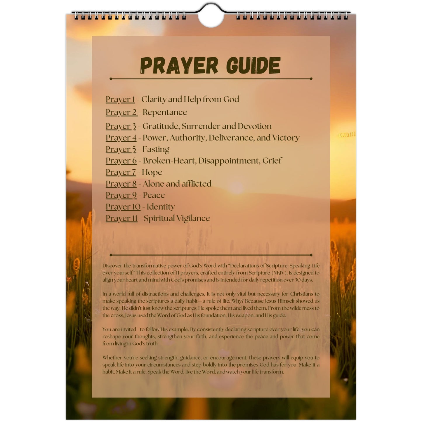 11aca9de-8343-46aa-9835-190236cb8aae