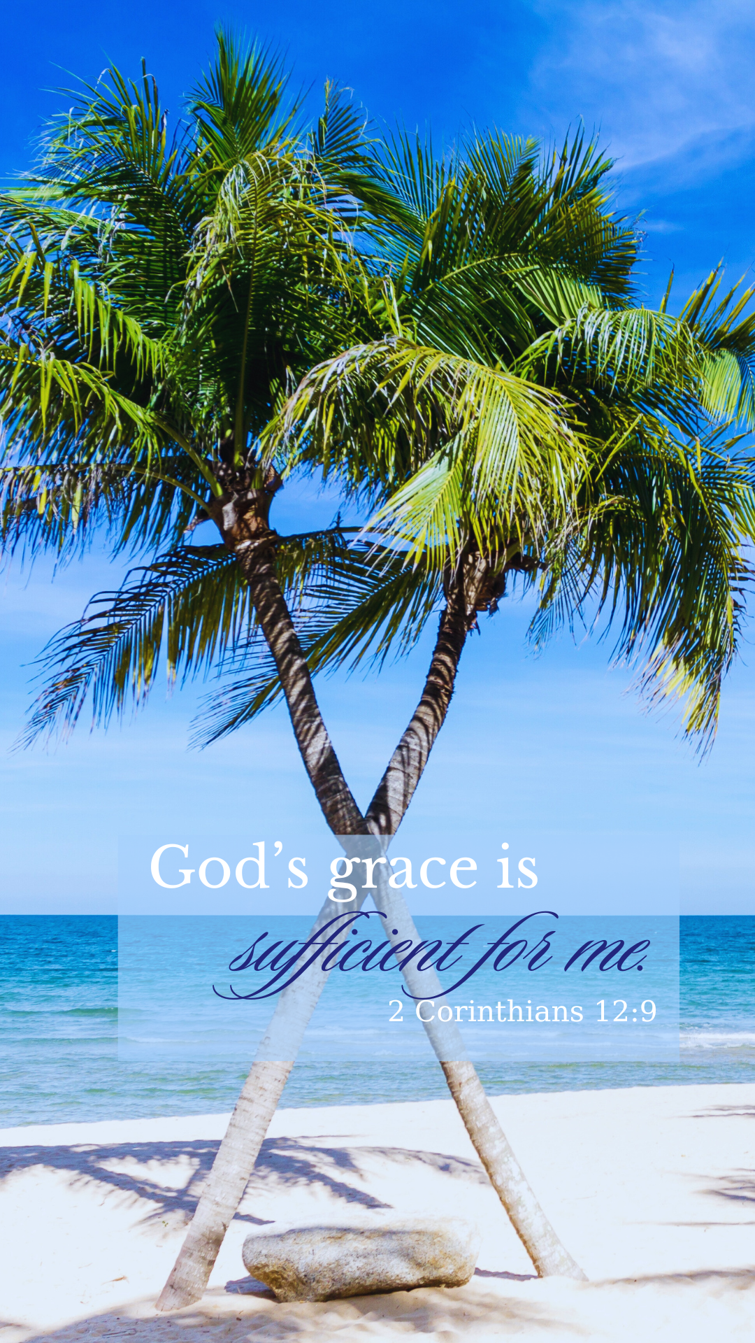 21 Scripture Wallpapers - (Palm tree Edition)